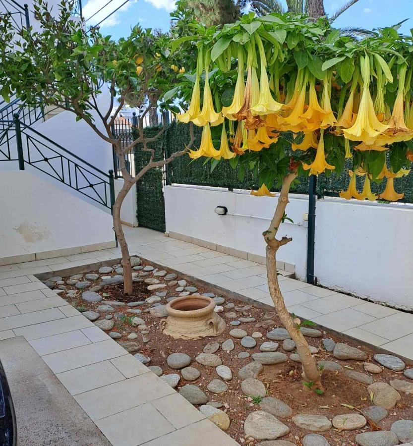 Dimitris Place Near Athens Airport Коропион Экстерьер фото